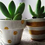  I know its snowing outside! But I can't help but think of warmer times! Spring up your workspace w these tiny babies! #succulents #spring #nomoresnow Www.wellmadeheart.com 
