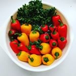  Spring is right around the corner! Truly one of my fave seasons. I'm so inspired by spring's bright colors and freshness. Couldn't help but take this photo during my veggie cleaning session! #spring #colorfulveggies #babybellpeppers #kale #Guatemala 