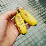  Giant avocados and tiny bananas, gotta love Guatemala. +🥑=  