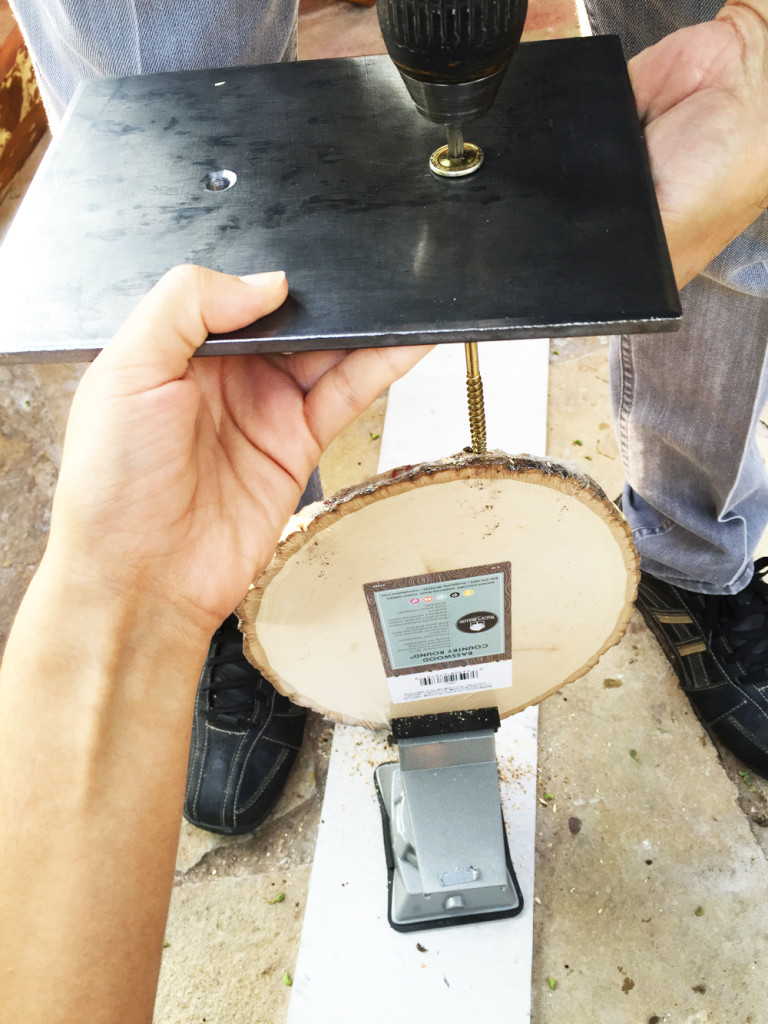 DIY Squirrel Stand