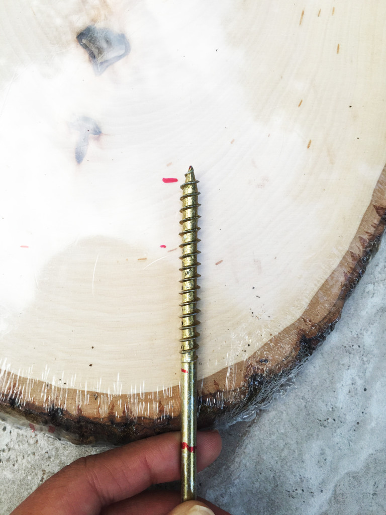 DIY Squirrel Stand