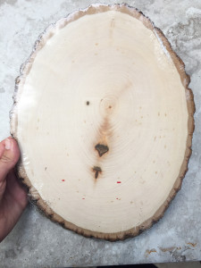 woodslice